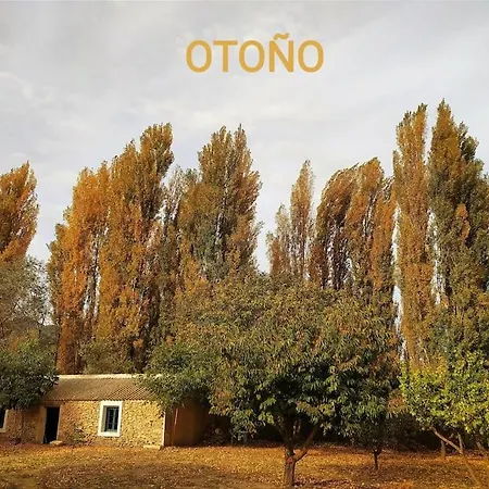 Casas De Aledo Precioso Con Hermosas Vistas Y Jardin La Risca