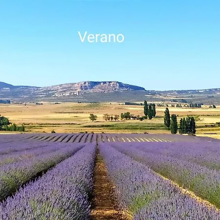 公寓 Casas De Aledo Precioso Con Hermosas Vistas Y Jardin