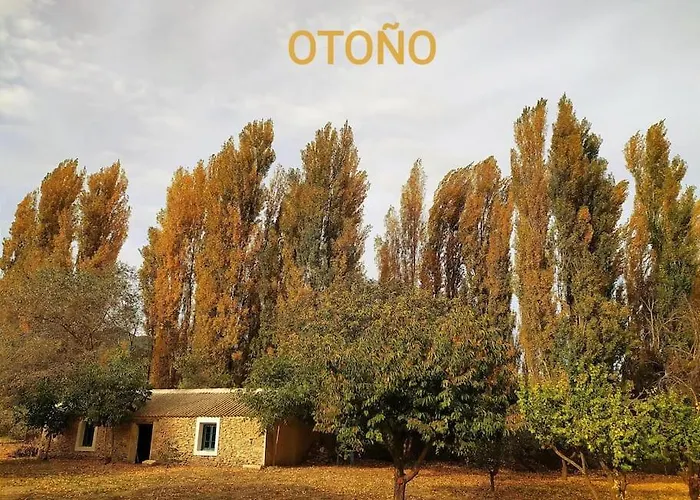 Casas De Aledo Precioso Con Hermosas Vistas Y Jardin La Risca