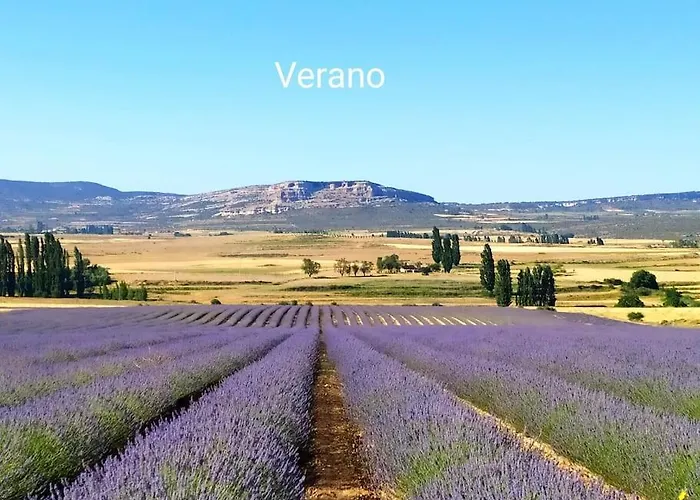 Lejlighed Casas De Aledo Precioso Con Hermosas Vistas Y Jardin